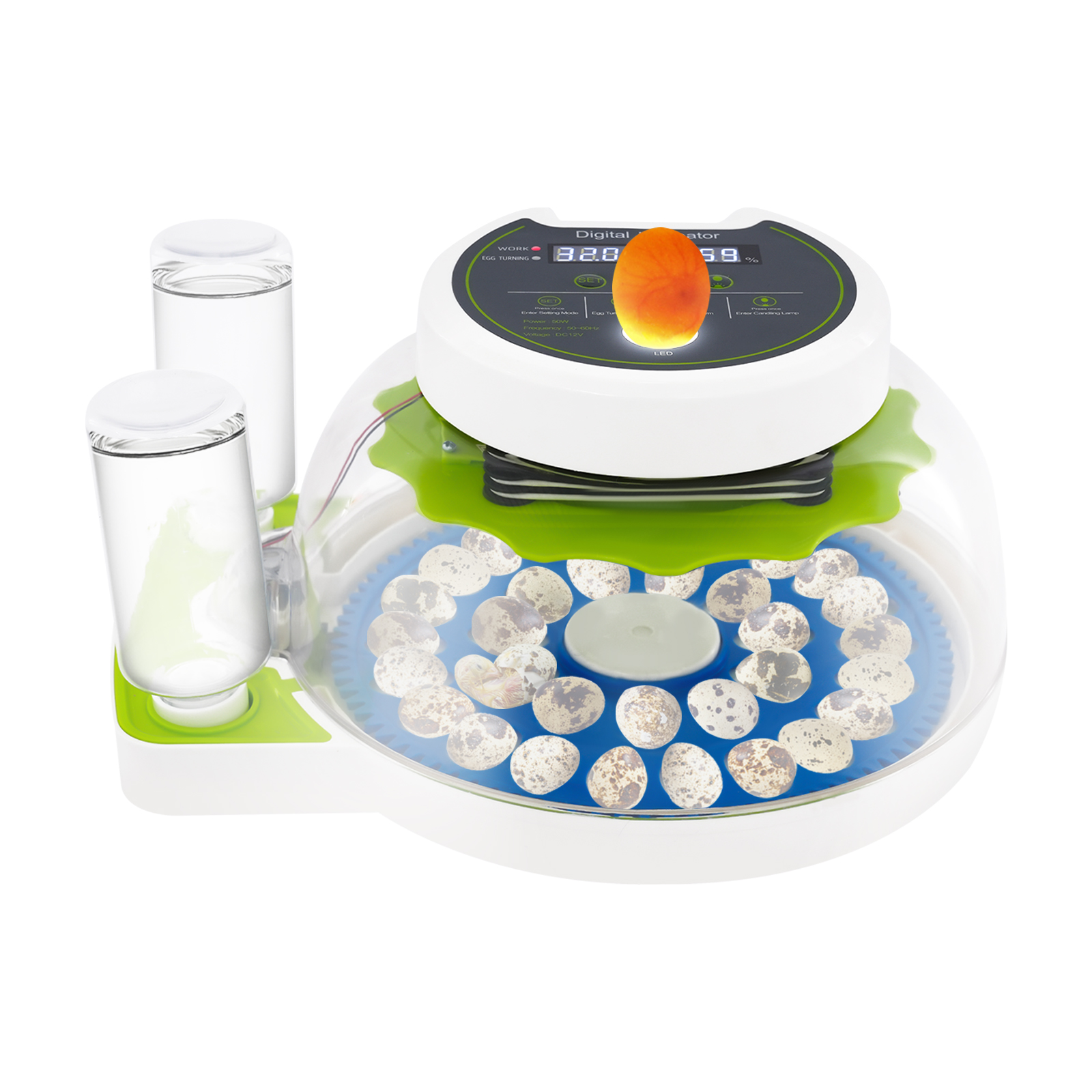 50W 12.2*9.84*6.1in Quail Egg  - Quail Egg Incubator 리뷰 및 가격