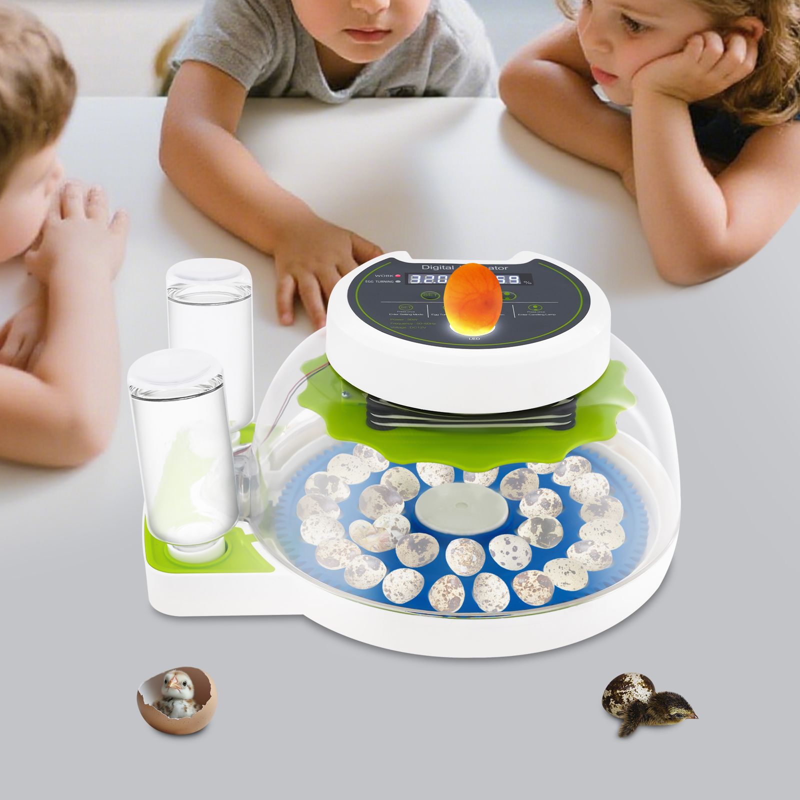 50W 12.2*9.84*6.1in Quail Egg  - Quail Egg Incubator 리뷰 및 가격