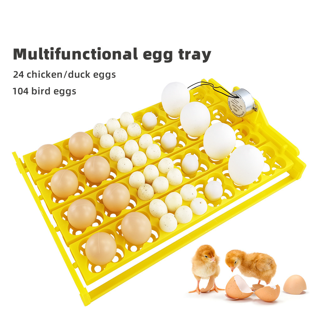 24pcs Eggs Incubator Tray Auto - Quail Egg Incubator 리뷰 및 가격