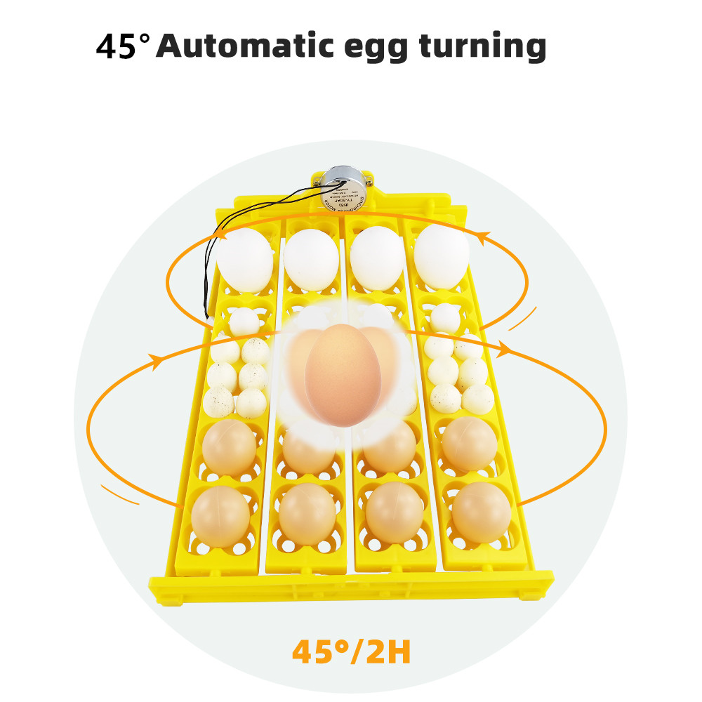 24pcs Eggs Incubator Tray Auto - Quail Egg Incubator 리뷰 및 가격