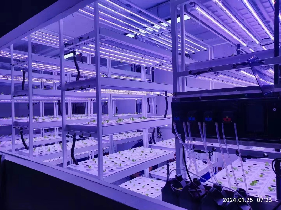 Small Vertical Hydroponic Towe - Hydroponic Farming Agriculture 리뷰 및 가격