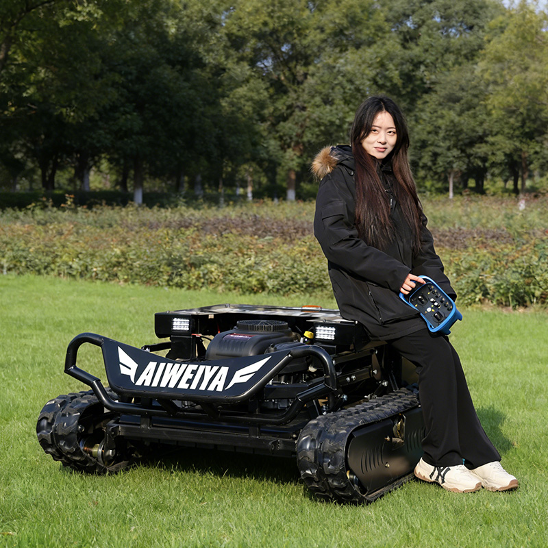 Customized new High torque int - Agriculture Farming Robot 리뷰 및 가격