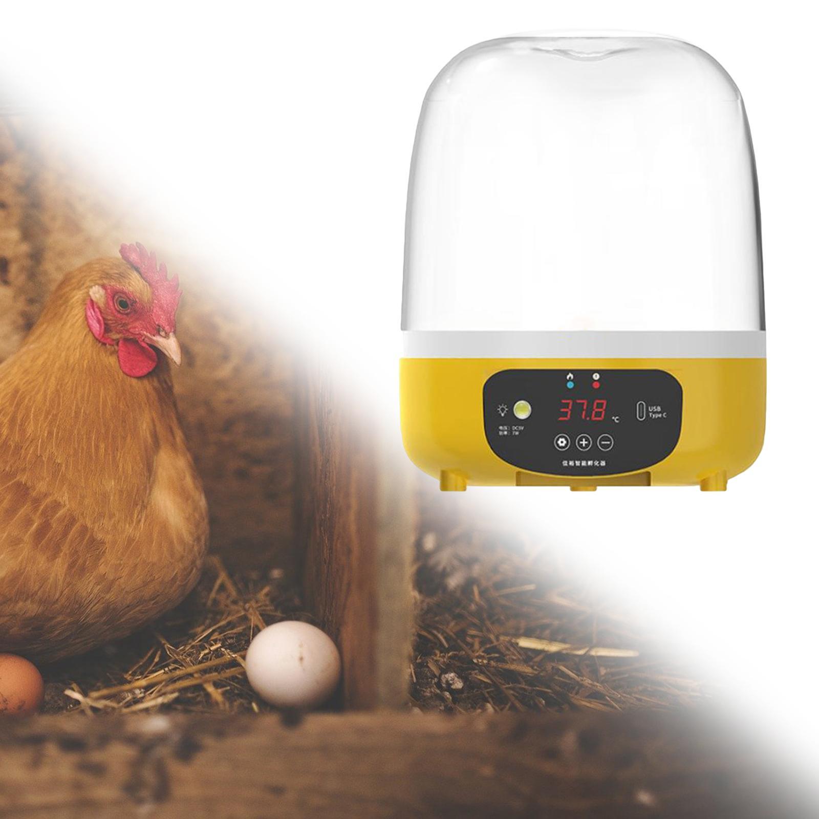 Digital Automatic Egg Incubato - Quail Egg Incubator 리뷰 및 가격