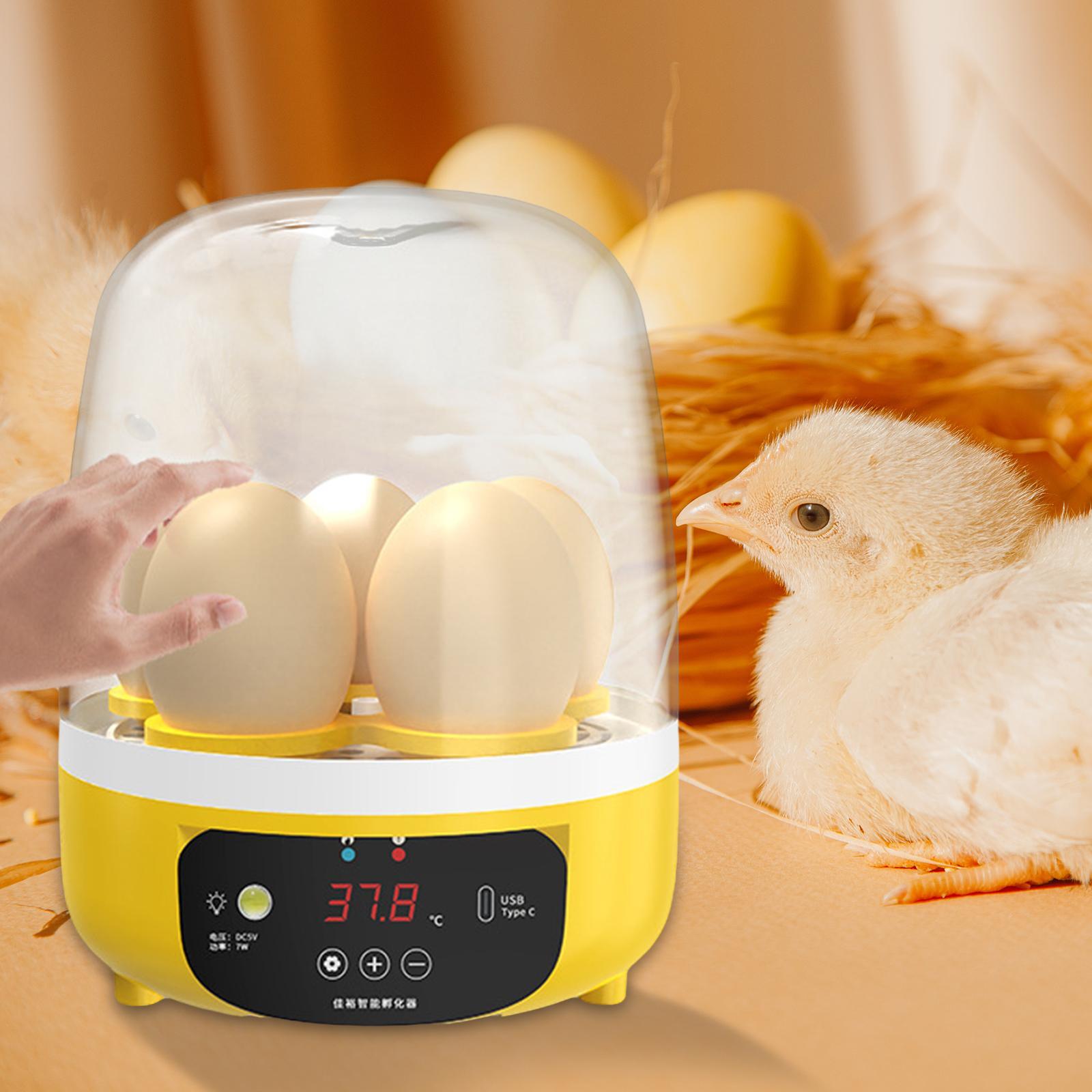 Digital Automatic Egg Incubato - Quail Egg Incubator 리뷰 및 가격