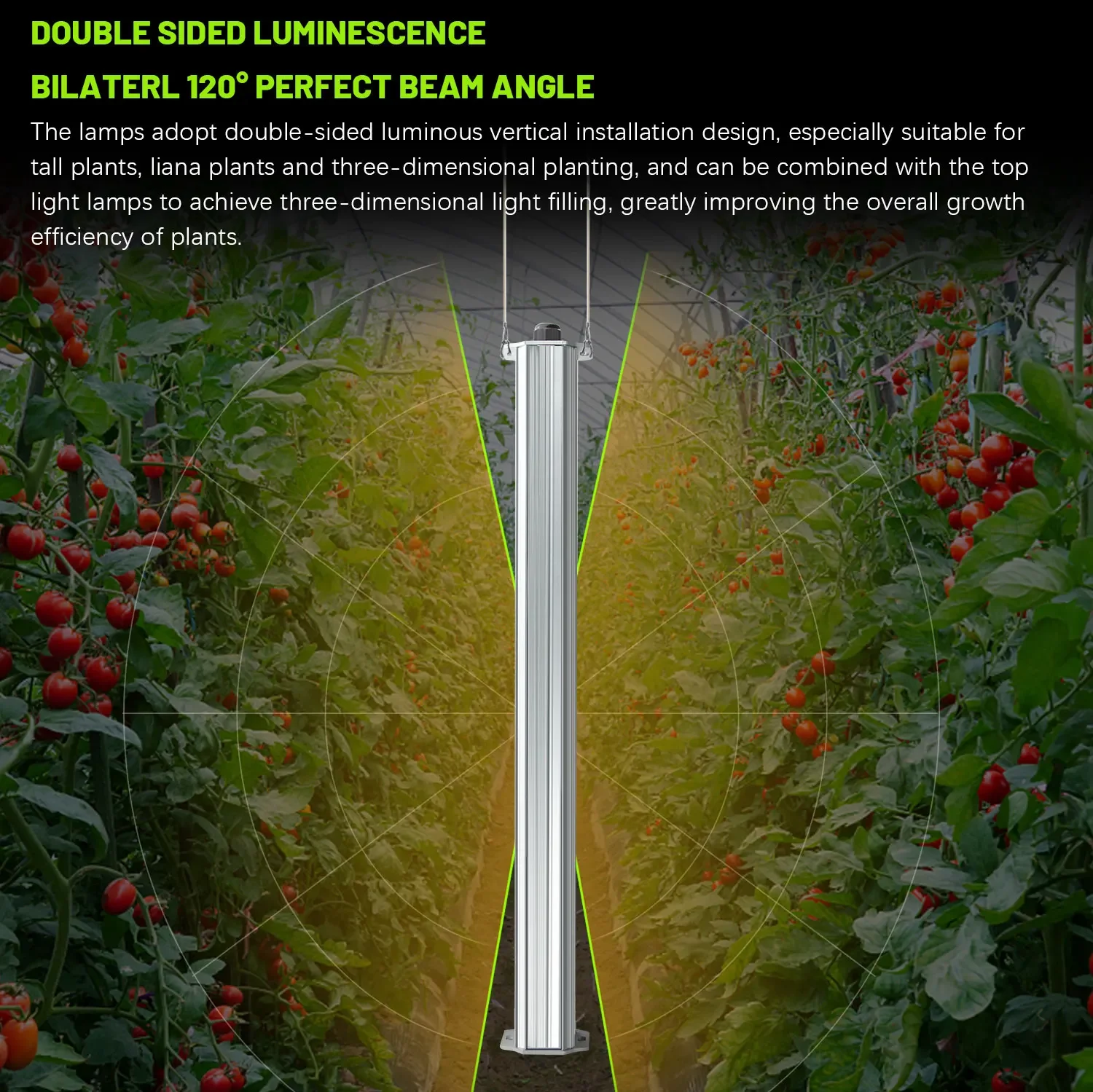 Best ETL Listed Plant Green Wa - Hydroponic Farming Agriculture 리뷰 및 가격