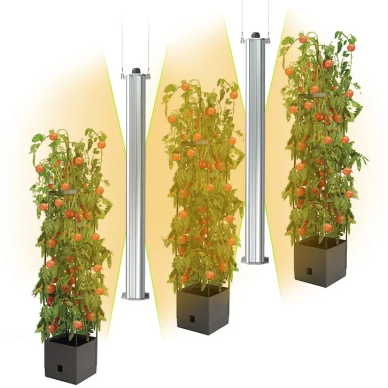 Best ETL Listed Plant Green Wa - Hydroponic Farming Agriculture 리뷰 및 가격