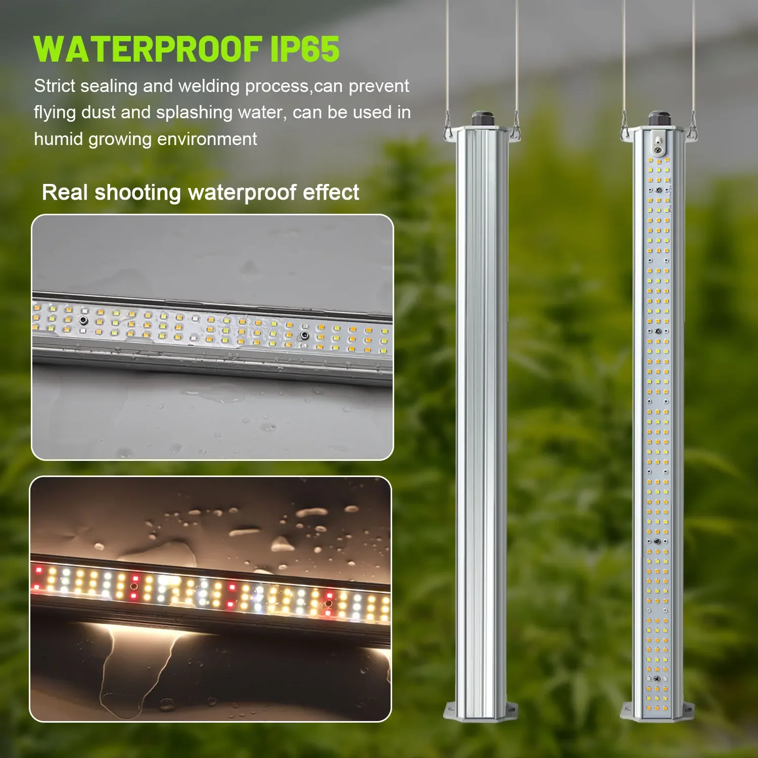 Best ETL Listed Plant Green Wa - Hydroponic Farming Agriculture 리뷰 및 가격