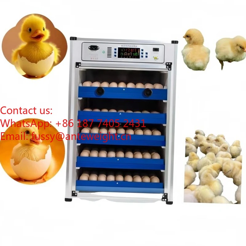 2026 Commercial-Grade 100 Eggs - Quail Egg Incubator 리뷰 및 가격