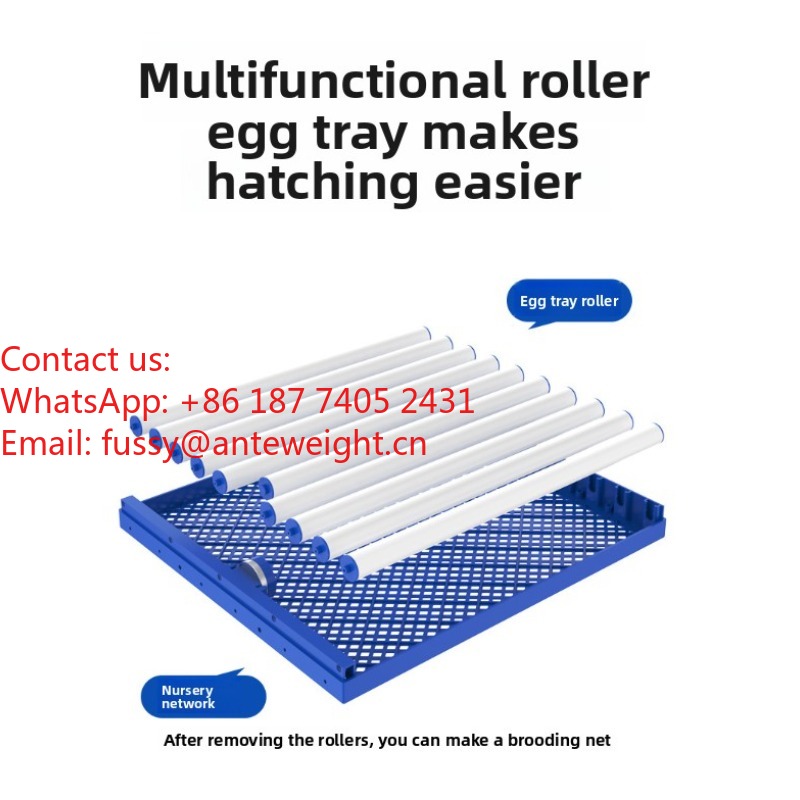 2026 Commercial-Grade 100 Eggs - Quail Egg Incubator 리뷰 및 가격