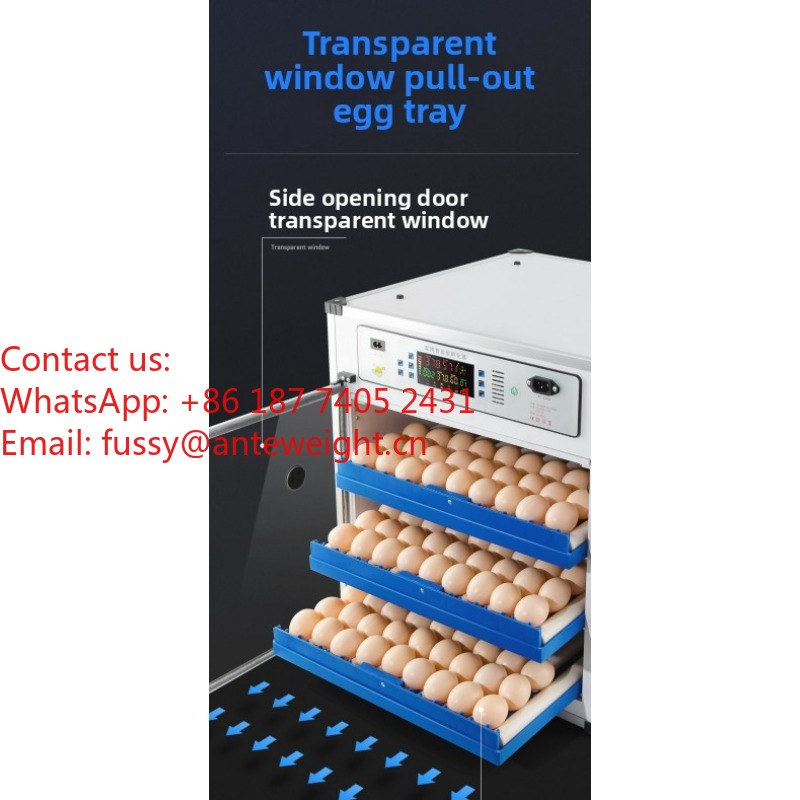 2026 Commercial-Grade 100 Eggs - Quail Egg Incubator 리뷰 및 가격