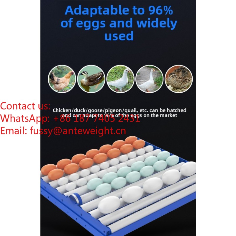 2026 Commercial-Grade 100 Eggs - Quail Egg Incubator 리뷰 및 가격