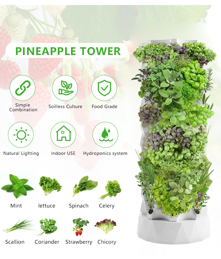 Upgraded Indoor Farming Outdoo - Hydroponic Farming Agriculture 리뷰 및 가격