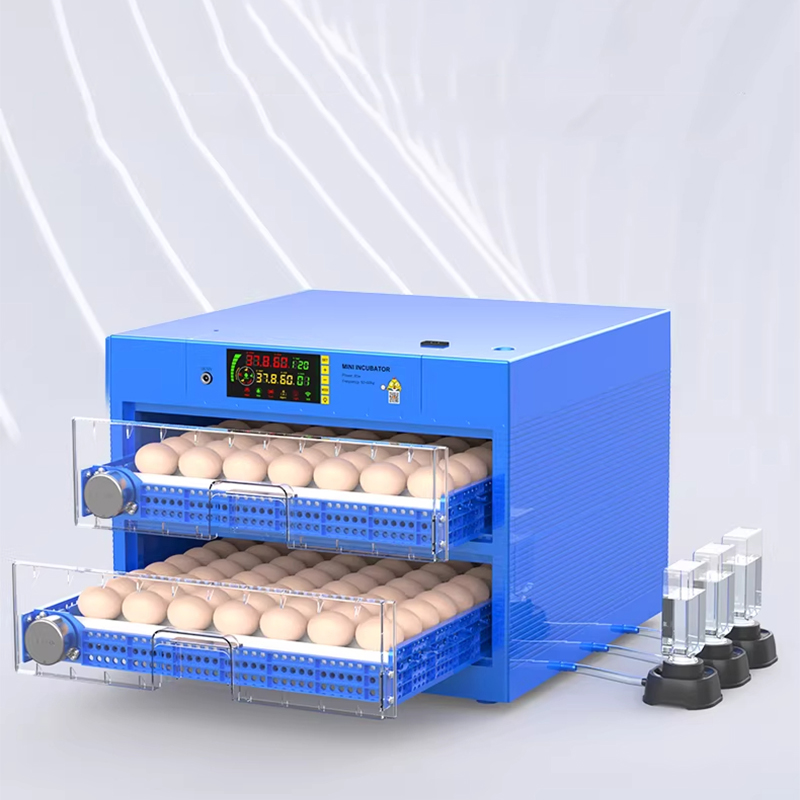 220V Digital Intelligent Poult - Quail Egg Incubator 리뷰 및 가격