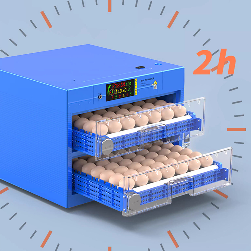 220V Digital Intelligent Poult - Quail Egg Incubator 리뷰 및 가격