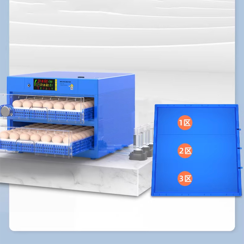 220V Digital Intelligent Poult - Quail Egg Incubator 리뷰 및 가격