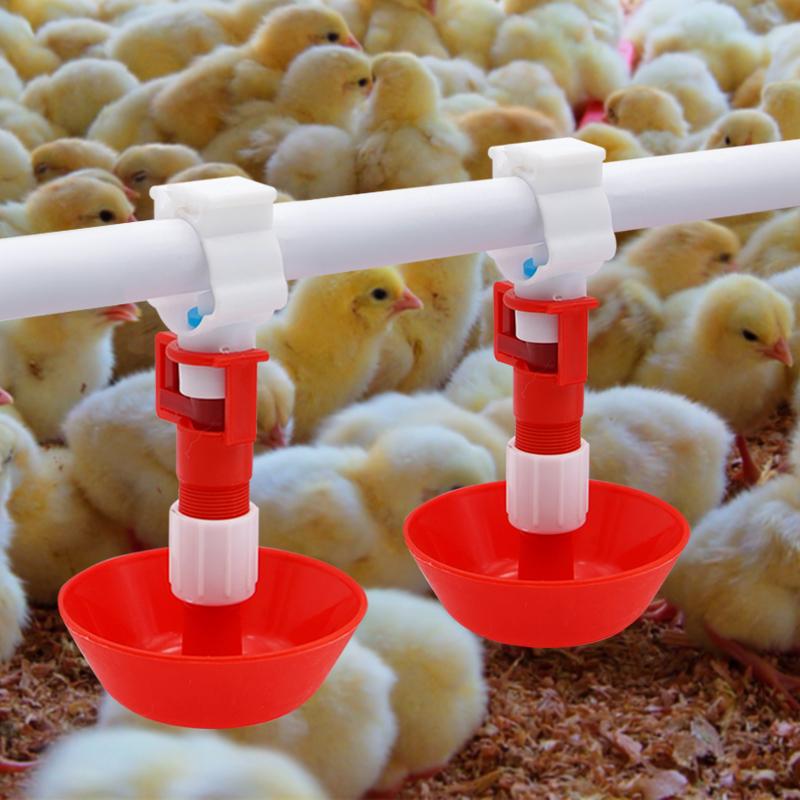 5/10/20 Pcs Automatic Chicken  - Chicken Nipple Drinker 리뷰 및 가격