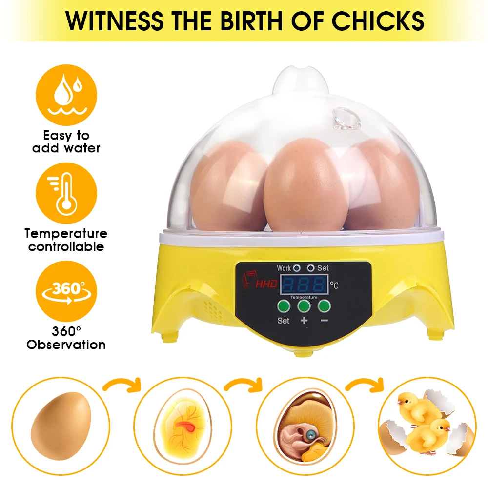 7 Capacity- Mini Sized Intelli - Quail Egg Incubator 리뷰 및 가격