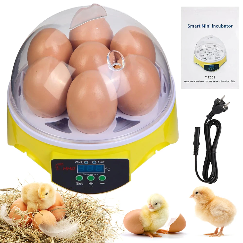 7 Capacity- Mini Sized Intelli - Quail Egg Incubator 리뷰 및 가격