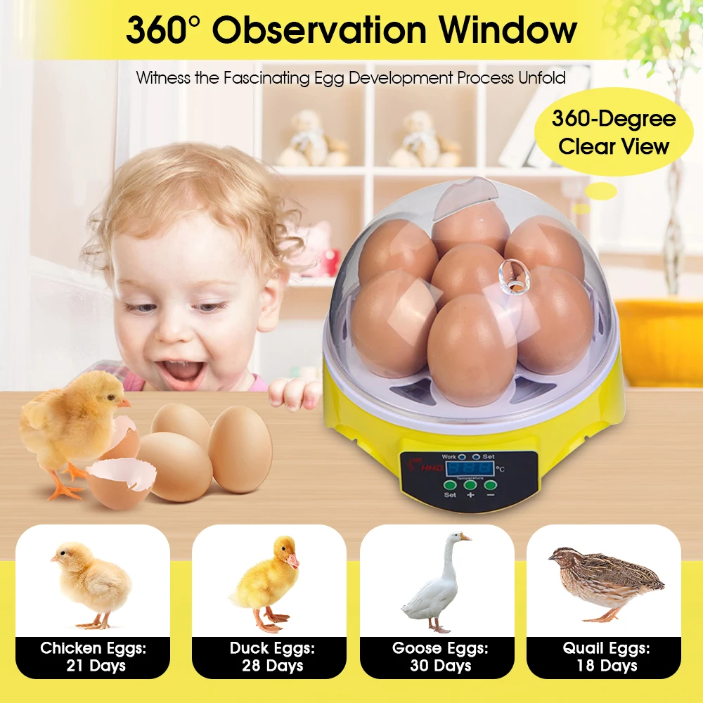 7 Capacity- Mini Sized Intelli - Quail Egg Incubator 리뷰 및 가격