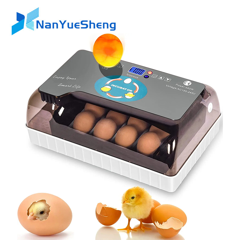 Automatic HHD Best Digital 12  - Quail Egg Incubator 리뷰 및 가격