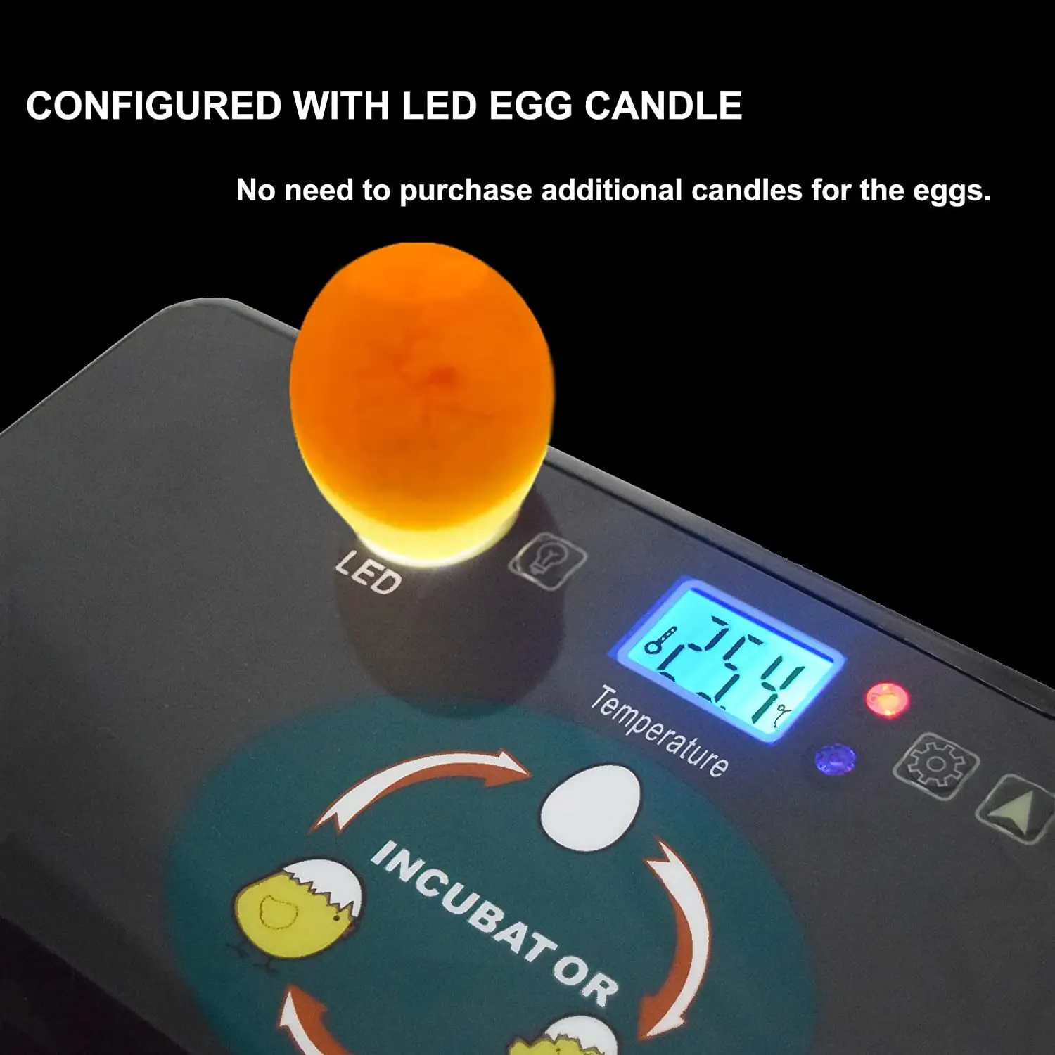 Automatic HHD Best Digital 12  - Quail Egg Incubator 리뷰 및 가격