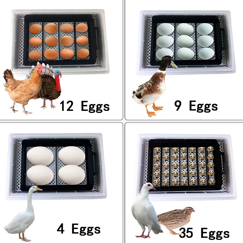 Automatic HHD Best Digital 12  - Quail Egg Incubator 리뷰 및 가격