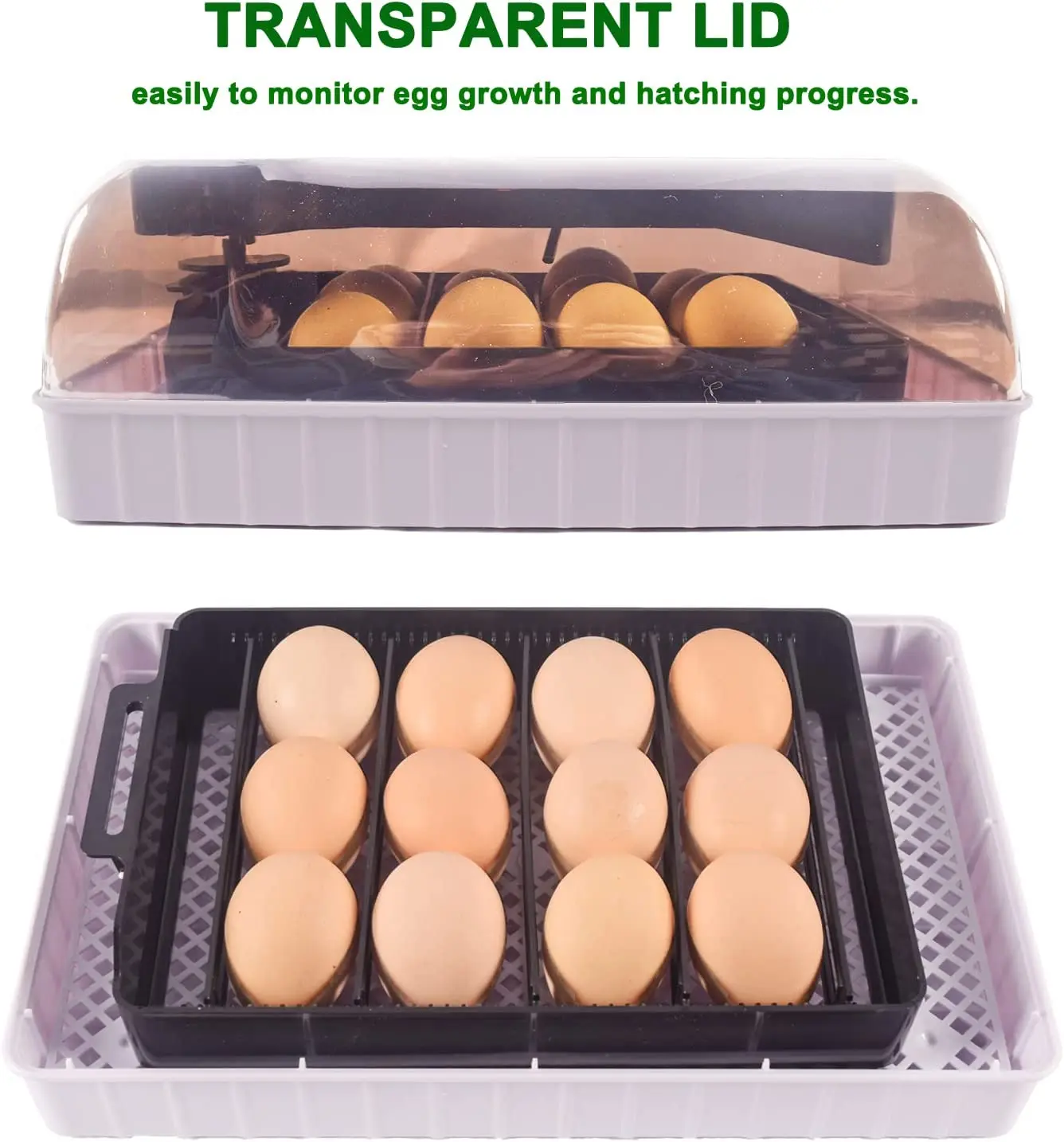 Automatic HHD Best Digital 12  - Quail Egg Incubator 리뷰 및 가격