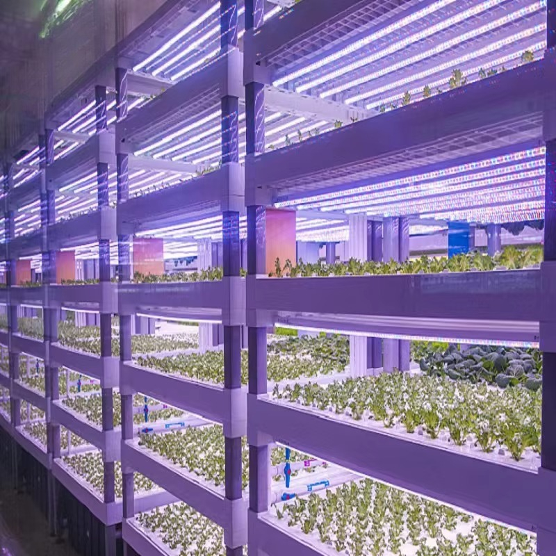 Custom Agricultural Greenhouse - Hydroponic Farming Agriculture 리뷰 및 가격