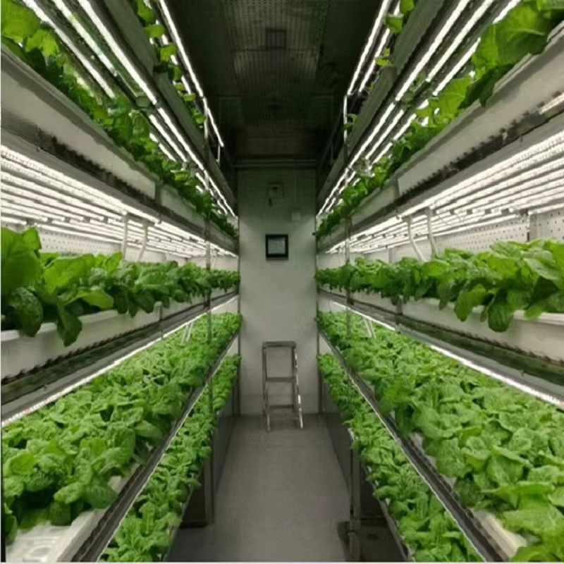 Custom Agricultural Greenhouse - Hydroponic Farming Agriculture 리뷰 및 가격