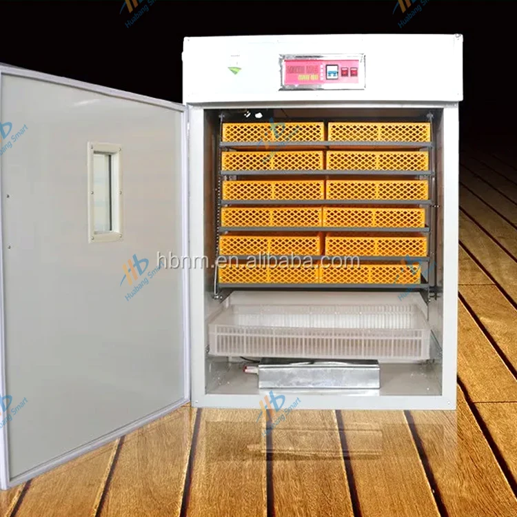Large-Capacity Fully Automatic - Quail Egg Incubator 리뷰 및 가격