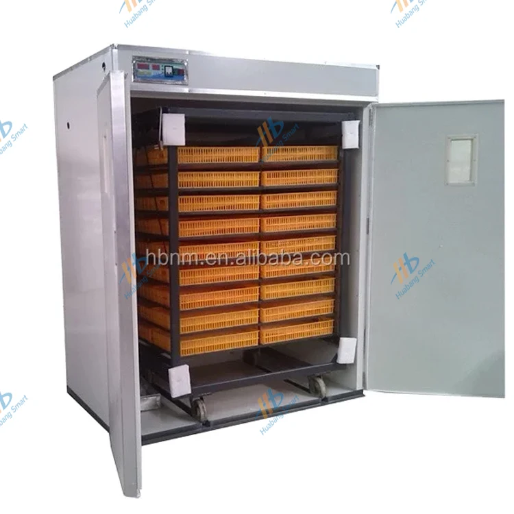 Large-Capacity Fully Automatic - Quail Egg Incubator 리뷰 및 가격