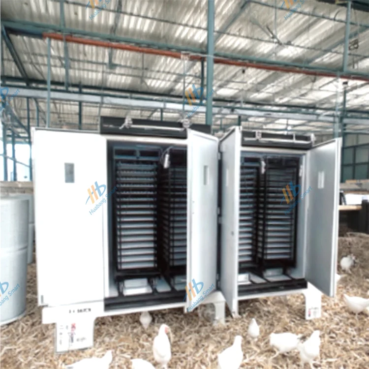 Large-Capacity Fully Automatic - Quail Egg Incubator 리뷰 및 가격