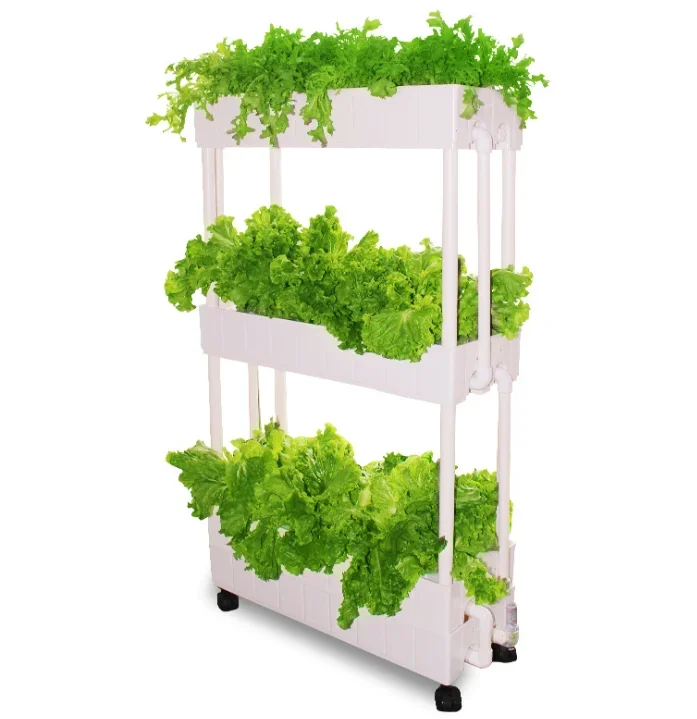 Customization Agriculture hydr - Hydroponic Farming Agriculture 리뷰 및 가격