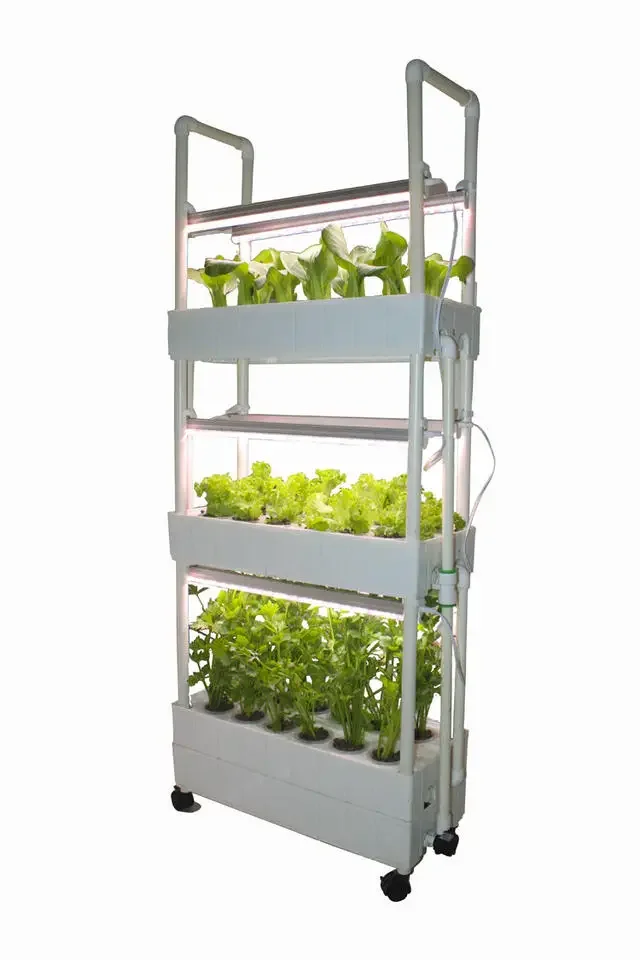 Customization Agriculture hydr - Hydroponic Farming Agriculture 리뷰 및 가격