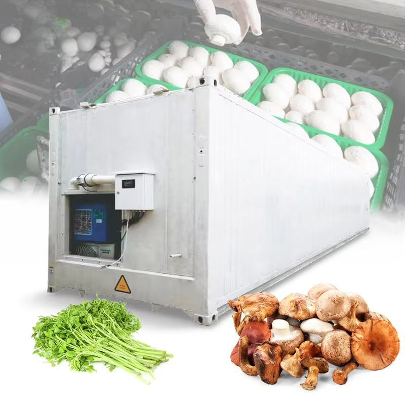 Customized 20ft 40ft Container - Hydroponic Farming Agriculture 리뷰 및 가격