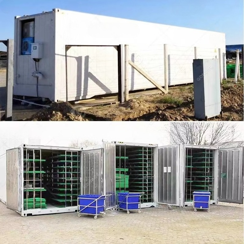 Customized 20ft 40ft Container - Hydroponic Farming Agriculture 리뷰 및 가격