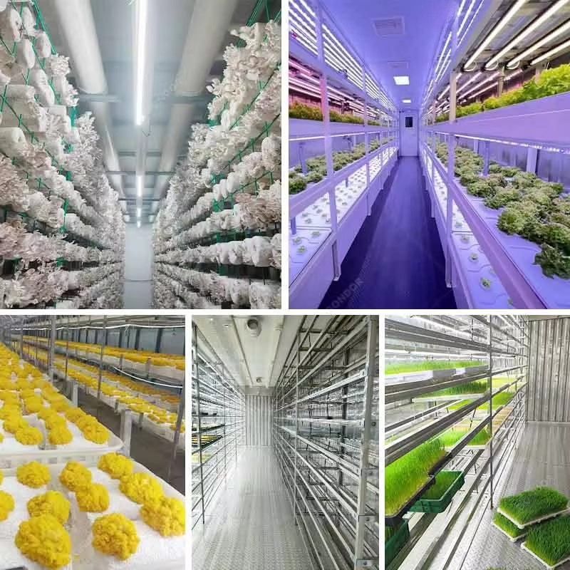 Customized 20ft 40ft Container - Hydroponic Farming Agriculture 리뷰 및 가격
