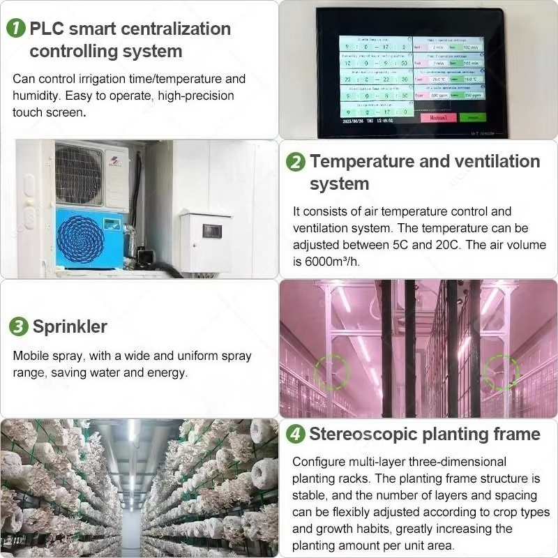 Customized 20ft 40ft Container - Hydroponic Farming Agriculture 리뷰 및 가격