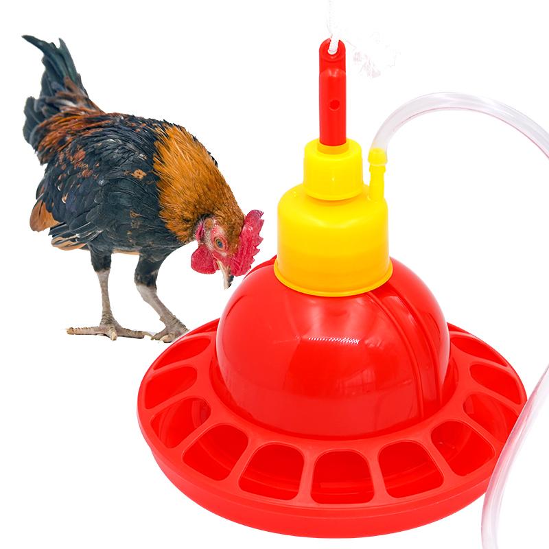 1 Set Chicken Duck Goose Broil - Chicken Nipple Drinker 리뷰 및 가격