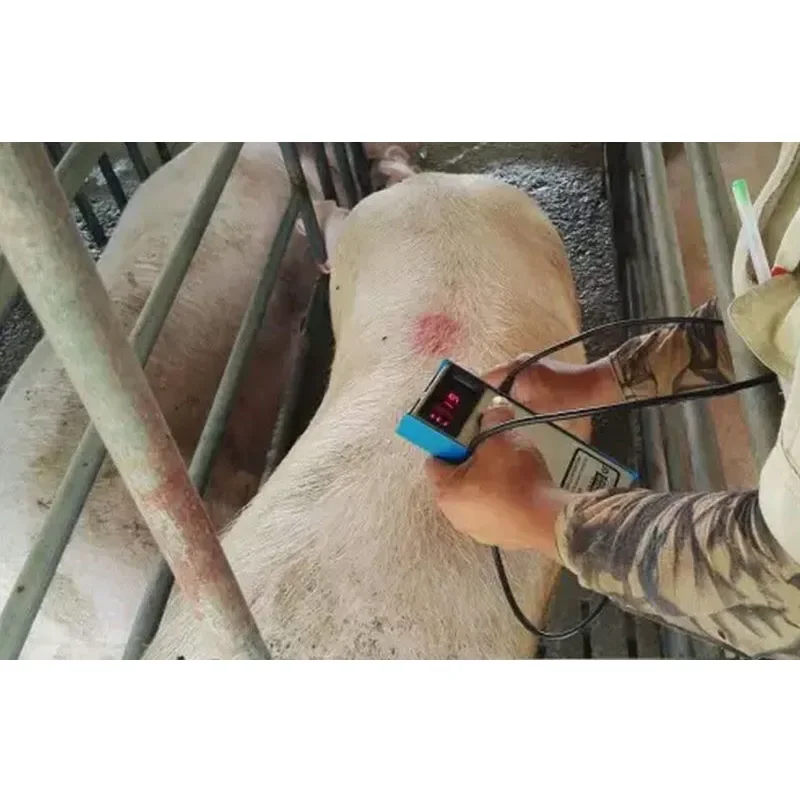 Precision Pig Back Fat Detecto - Agriculture Farming And Livestock 리뷰 및 가격