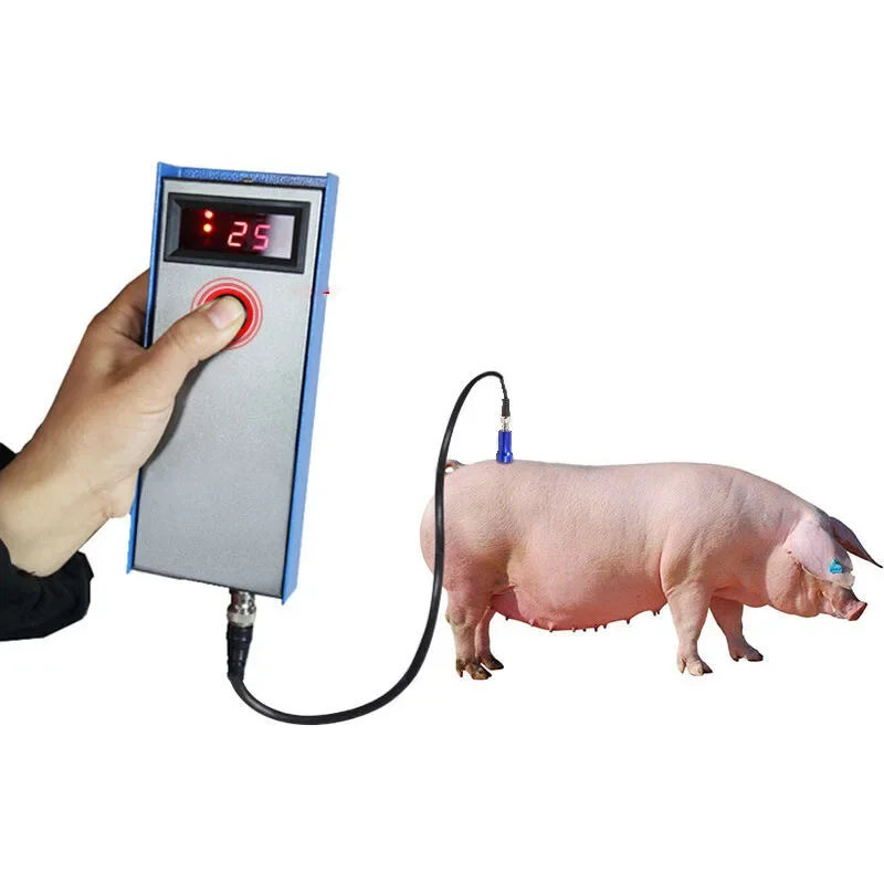 Precision Pig Back Fat Detecto - Agriculture Farming And Livestock 리뷰 및 가격
