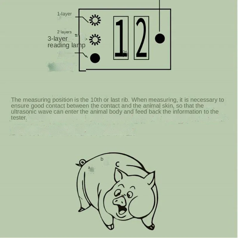 Precision Pig Back Fat Detecto - Agriculture Farming And Livestock 리뷰 및 가격