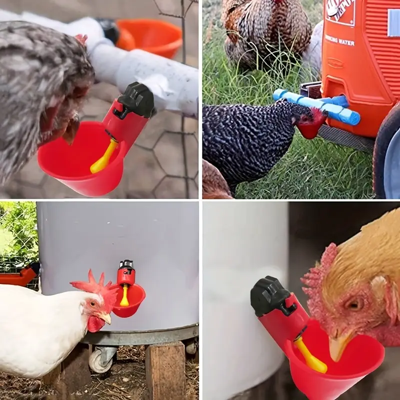 5/10/15Pcs Chicken Quail Hangi - Chicken Nipple Drinker 리뷰 및 가격