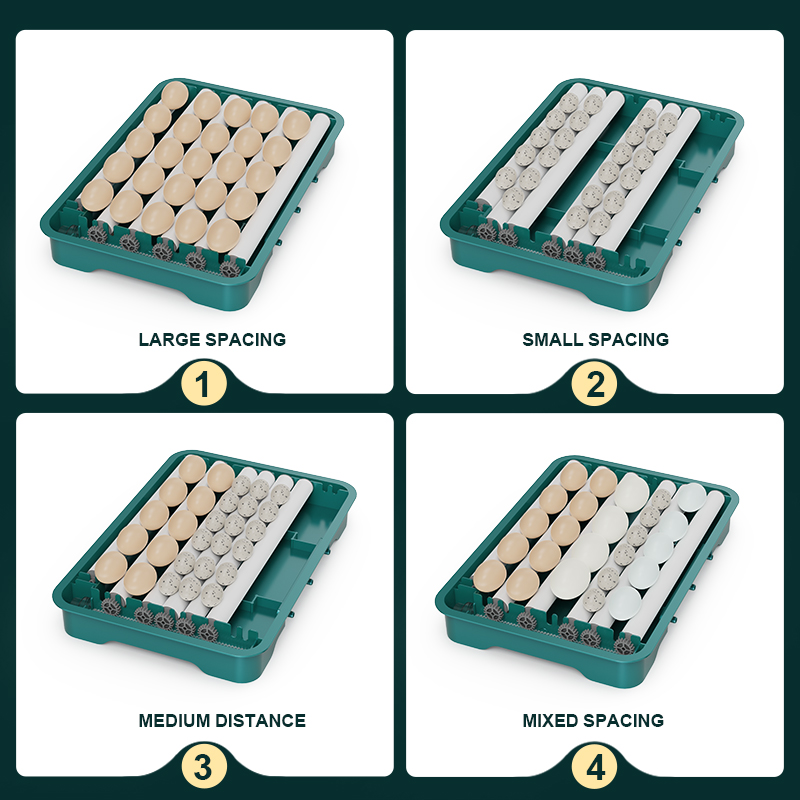 Fully Automatic  Chicken Quail - Quail Egg Incubator 리뷰 및 가격