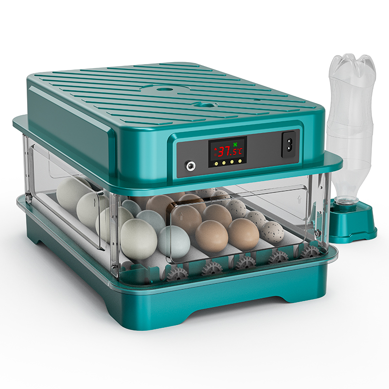 Fully Automatic  Chicken Quail - Quail Egg Incubator 리뷰 및 가격