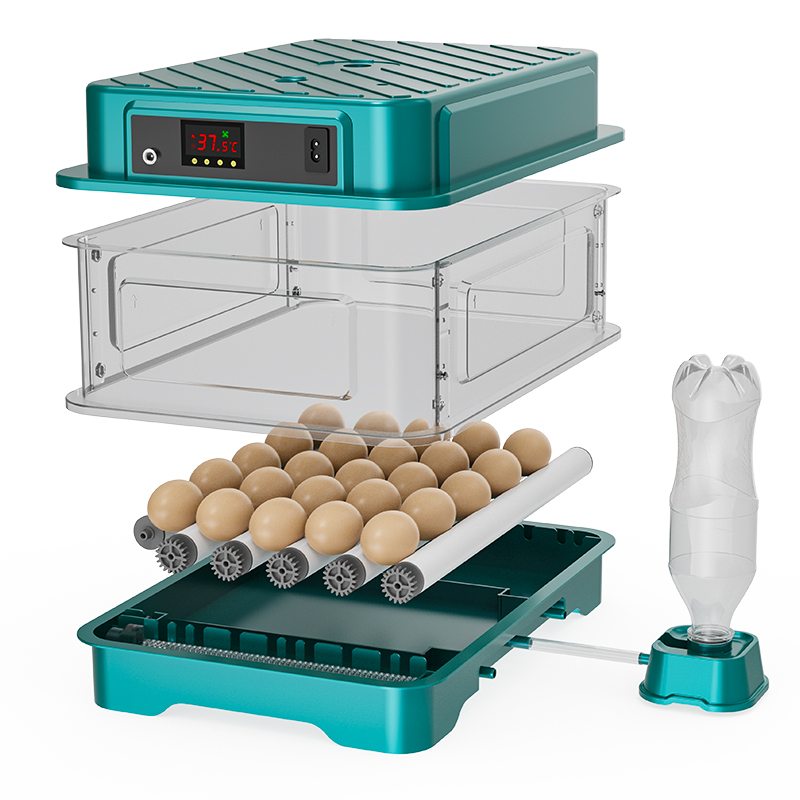 Fully Automatic  Chicken Quail - Quail Egg Incubator 리뷰 및 가격