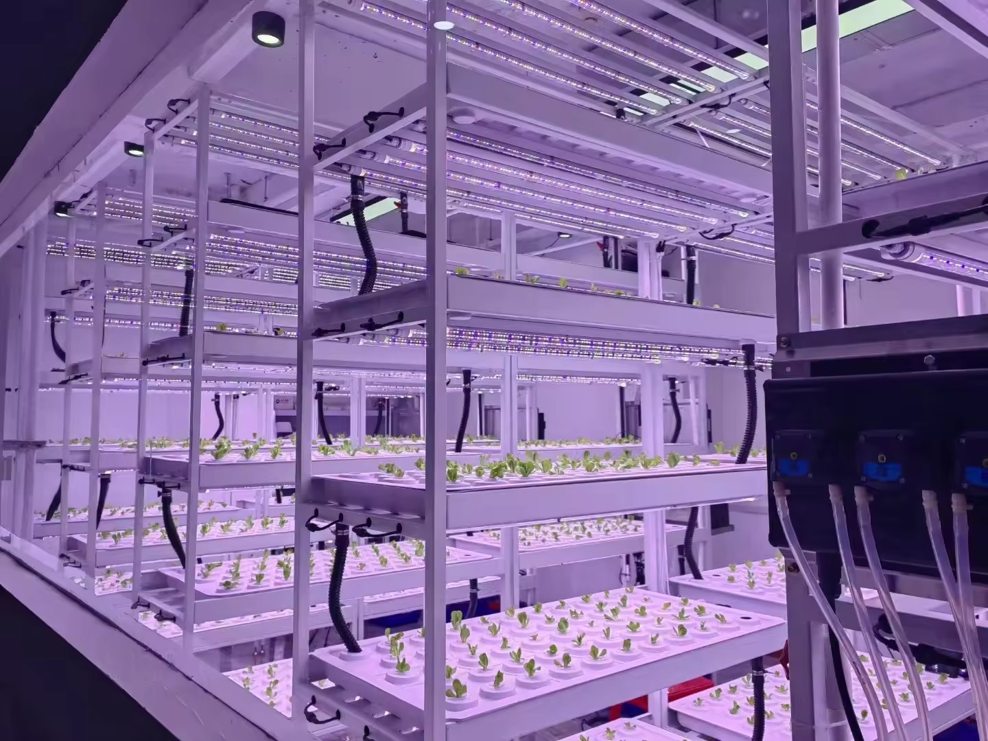 Vertical Farm Hydroponic Tower - Hydroponic Farming Agriculture 리뷰 및 가격