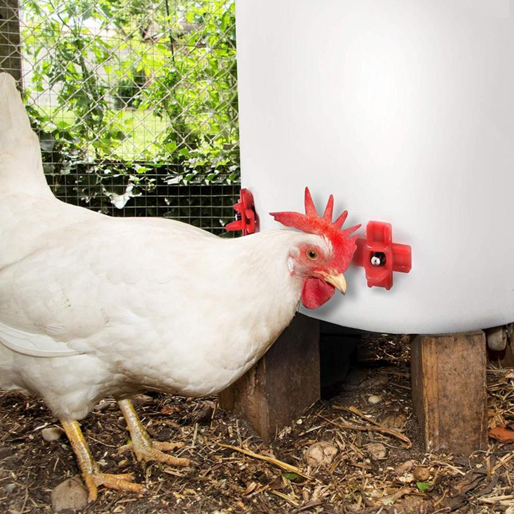 12 pcs Automatic Chicken Water - Chicken Nipple Drinker 리뷰 및 가격