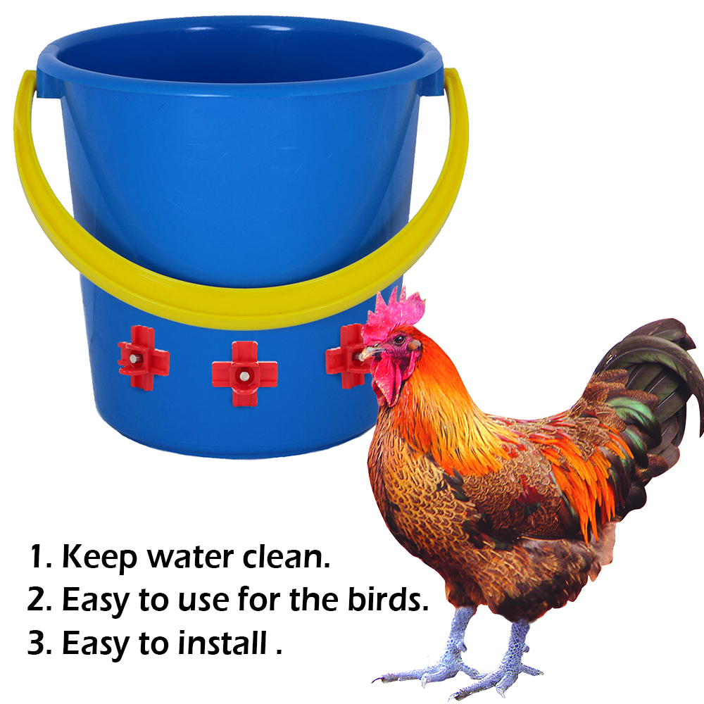 12 pcs Automatic Chicken Water - Chicken Nipple Drinker 리뷰 및 가격