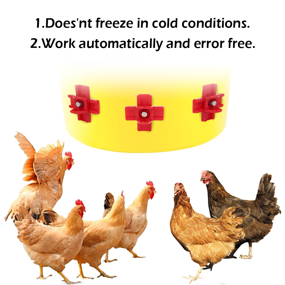 12 pcs Automatic Chicken Water - Chicken Nipple Drinker 리뷰 및 가격